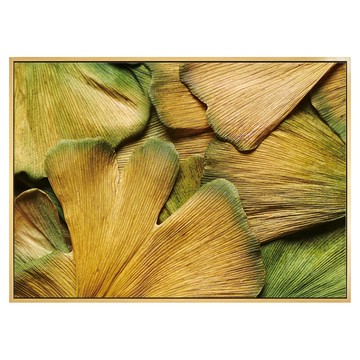 BOLUO GALLERY 菠蘿選畫所 金燦燦銀杏葉 BFLE3429D  40 x 30cm  原木色