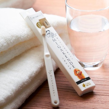 日本獸醫研發 寵物超軟羊毛牙刷 狗狗牙刷 貓咪牙刷 小刷頭牙刷