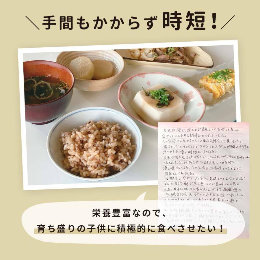 100%有機原料 玄米レトルトパックご飯 160g×5個 送料無料 おにぎり お弁当 TSG