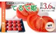 スーパーフルーツトマト てるて姫 中箱  約1.2kg×3箱  糖度9度以上 ブランドトマト フルーツトマト トマト とまと  [BC035sa]