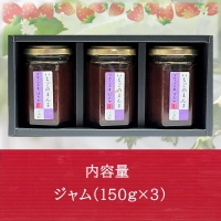 いちご果肉がたっぷりの苺ジャム3本セット《 いちご ジャム 果肉 新鮮 いちごジャム 保存料不使用 》