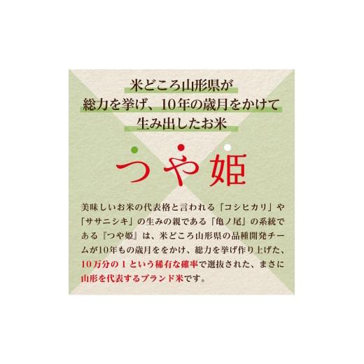 ふるさと納税 山形県 河北町 ※2024年1月後半スタート※特別栽培米 つや姫 120kg定期便（20kg×6回）山形県産