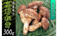 香り・歯応え・味ともに最高級！希少な国産松茸「高野松茸」300g