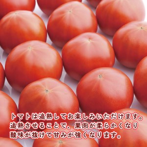  てるて姫 中箱 約1.2kg × 2箱 糖度9度 以上 野菜 フルーツトマト フルーツ トマト とまと [AF038ci]