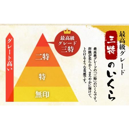 ふるさと納税 北海道産 三特 鮭いくら 醤油漬け 500g×1パック ＜ワイエスフーズ＞ 森町 いくら醤油漬け しょうゆ漬け 海産物 加工品 イクラ .. 北海道森町