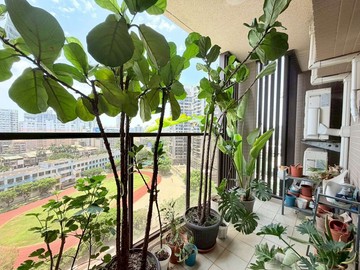 大慶近中山醫中興大學｜孩子王｜高樓視野四房雙平車｜台中市南區復興北路