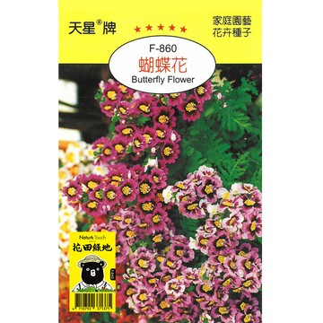 花田綠地種子 蝴蝶花