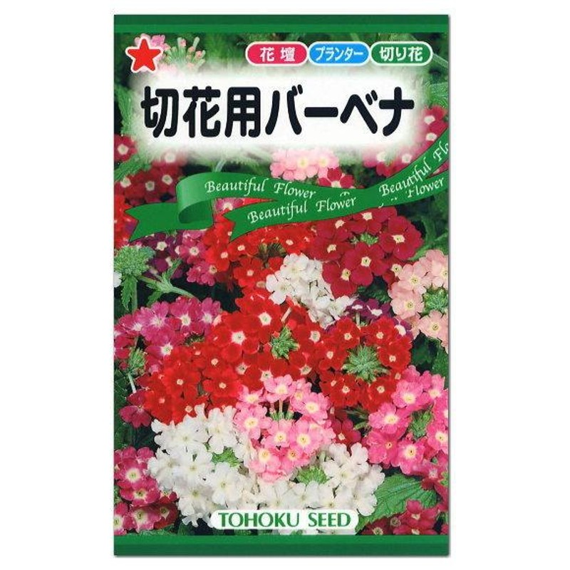 トーホク 切花用バーベナ 種 一年草 花壇 プランター 草花 たね 種子 タネ ガーデニング メール便対応 LINEショッピング