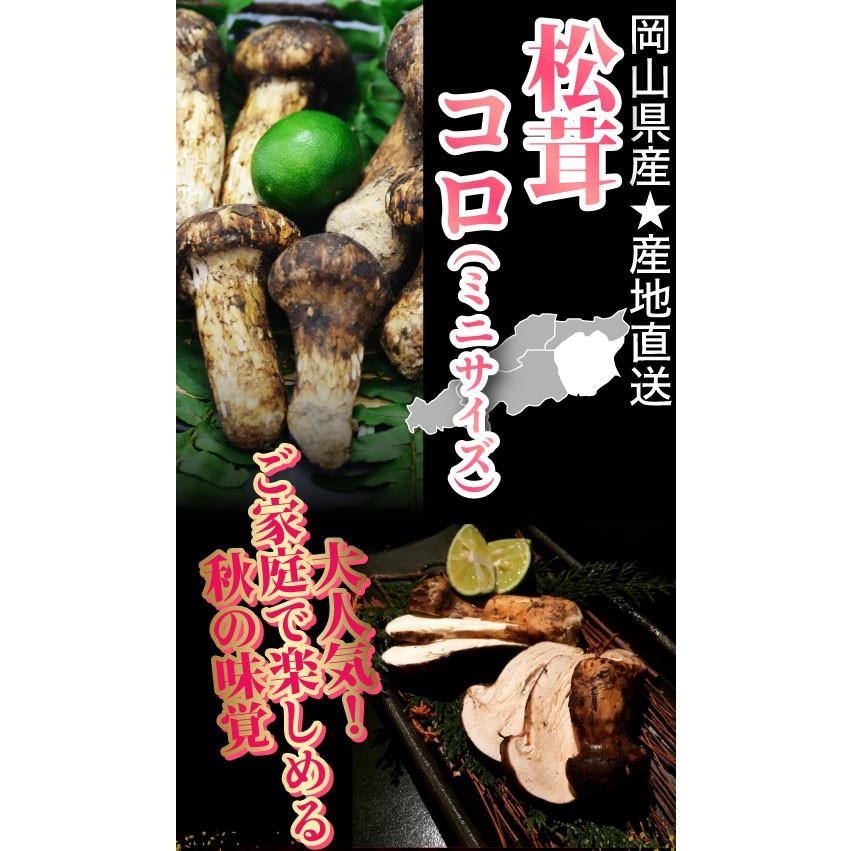 2024年分予約 利平栗1kgおまけ付 国産 松茸 コロ(ミニサイズ) 600g前後 マツタケ まつたけ 岡山 ギフト 産地直送 SSS 10j