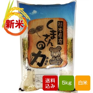 くまさんの力 白米 5kg 熊本県産 令和4年産 米 コメ こめ