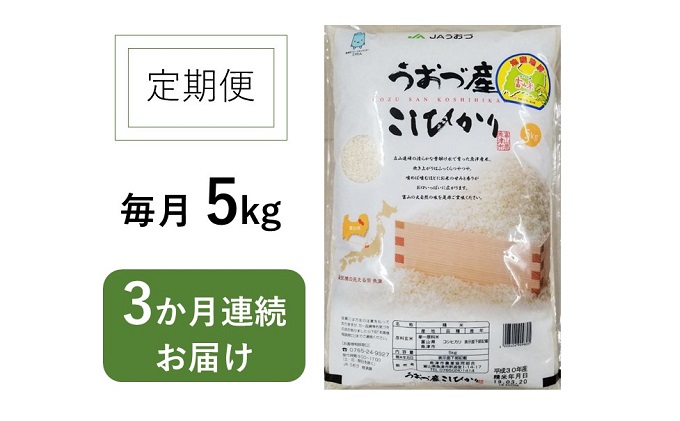 5kg×3ヶ月定期便　富山県うおづ産米コシヒカリ 白米 富山米