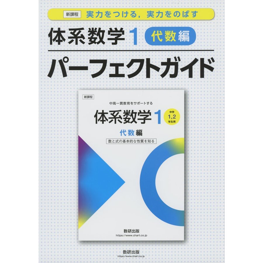 実力をつける,実力をのばす体系数学1 代数編 パーフェクトガイド