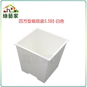 【綠藝家】四方型栽培盆5.5吋-白色(厚)