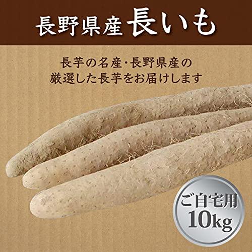 長芋 長いも 長野県産 10kg 国産 産地から採れたて ご自宅用 西村青果