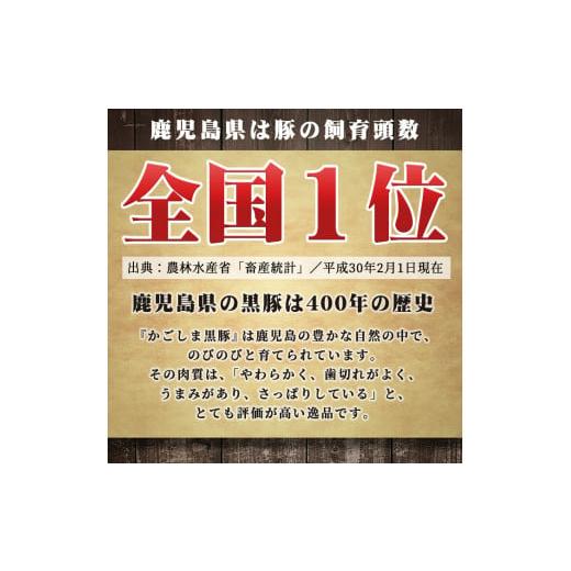 ふるさと納税 鹿児島県 姶良市 a238 C801 鹿児島黒豚とんかつセット！トンカツにぴったりな黒豚ロースを合計900g！国産だから安心＜C-801＞【あいら農業協同組…