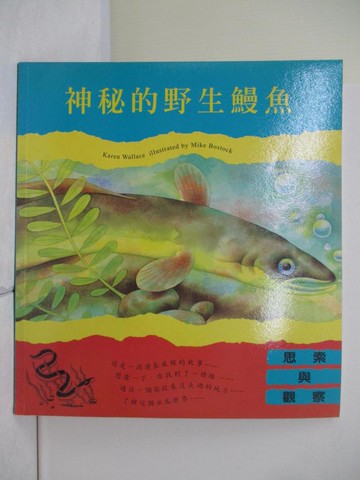 【書寶二手書T6／少年童書_ZZA】神秘的野生鰻魚_Karen Wallace作; Mike Bostock繪圖; 許琳英,唐香燕翻譯