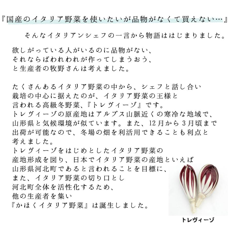 山形県かほくイタリア野菜お試しセット 4〜6種類入り 送料無料