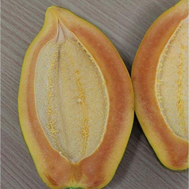 沖縄県産フルーツパパイヤ ２ｋｇ（2?5個）