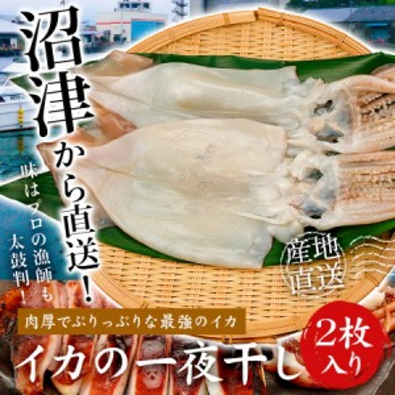 干物 イカ 2枚 セット 一夜干し いか 大型 おつまみ ギフト グルメ 食品 プレゼント ご当地 沼津 詰め合わせ 通販 Lineポイント最大get Lineショッピング