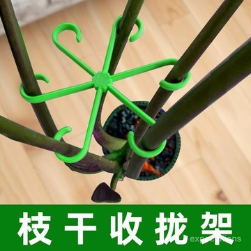 🔥在灣24H🔥龜背竹支撐固定器防倒伏春羽支架水培枝幹固定花盆架花卉綠植花架 CJ0J