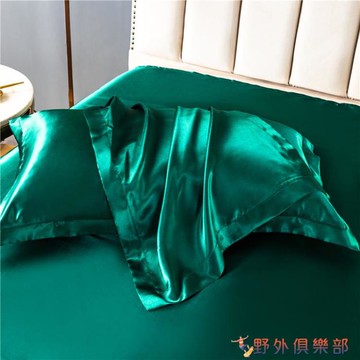枕頭套 夏季雙面冰絲枕套一對拍2單人天絲滑裸睡真絲枕頭套48X74cm枕芯套