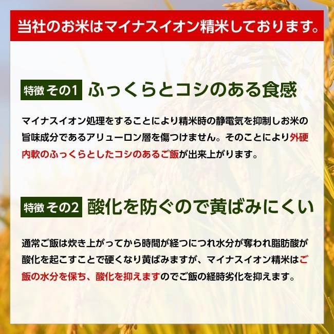 令和5年産 山形県産 雪若丸 白米10kg