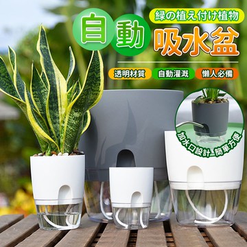 自動吸水花盆『台灣出貨』懶人花盆 水培吸水花盆容器 自動吸水透明花盆 雙層儲水懶人塑膠花盆 【蝦皮團購】QJ1053