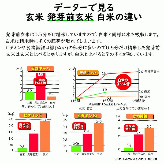 無農薬 無肥料 発芽前玄米10Kg 福岡県産 令和5年度産 元気つくし 0.5分づき米 発芽玄米 筑後久保農園 自然栽培米