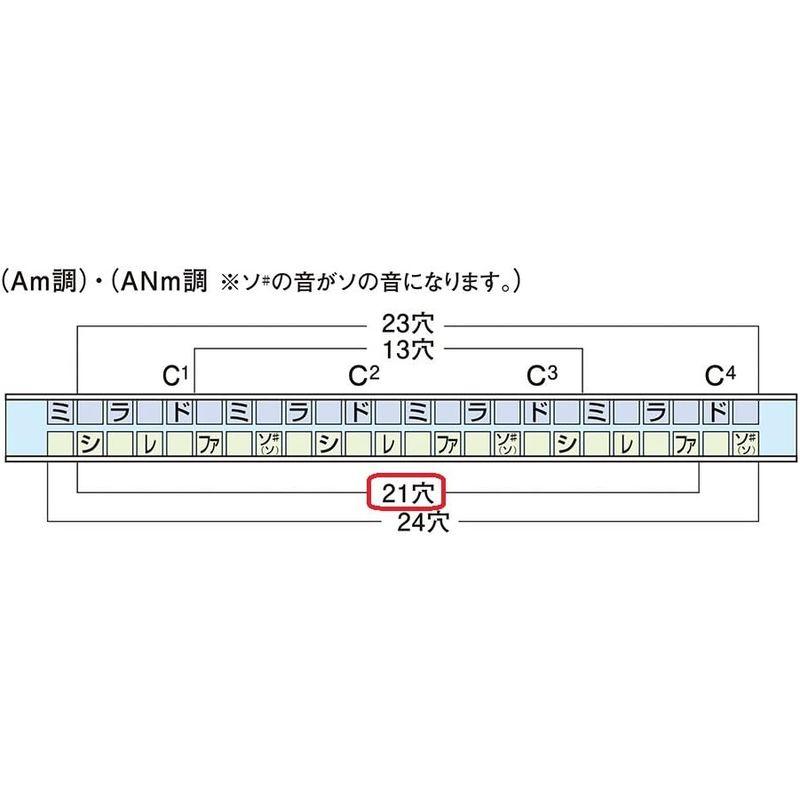 SUZUKI スズキ 21穴複音ハーモニカ ハミング SU-21 Humming D#m調