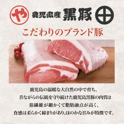 ふるさと納税 南さつま市 黒豚 炭焼き焼豚とローストポーク詰め合わせ 計8本