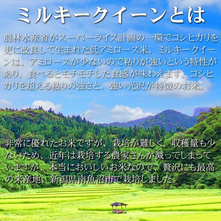 新米 令和5年 米 お米 30kg  新潟県南魚沼産ミルキークイーン 玄米30kg  精米無料 ｜ 玄米 米 おこめ お米 30kg 送料無料 ｜ LINE友達登録で5%OFFクーポン