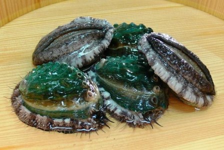 やわコリ食感紀州の蝦夷アワビ 