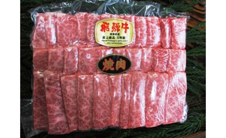 飛騨市推奨特産品　飛騨牛 5等級 カルビ 焼肉用 500g [E0028]
