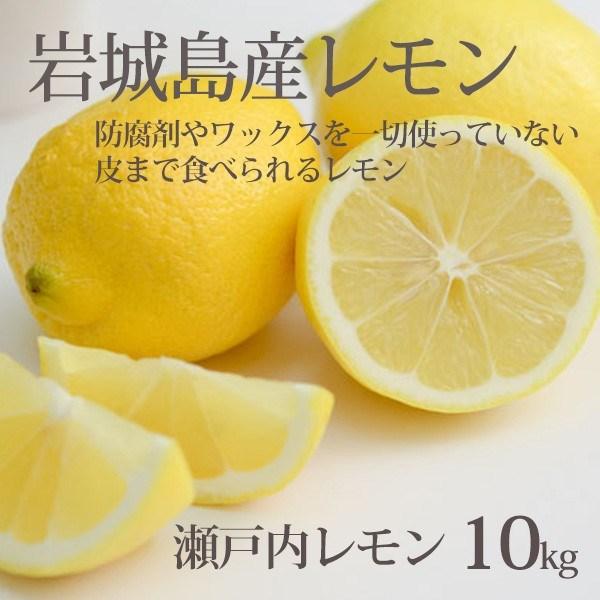 国産 レモン 整品 10kg 生レモン 瀬戸内産 防腐剤なし 皮まで食べられる 一部地域 送料無料