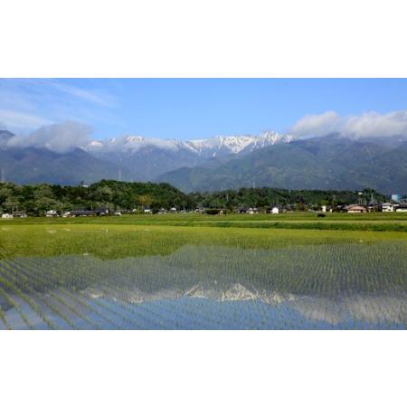 ふるさと納税 長野県産「あきたこまち」（5kg×3回） 長野県駒ヶ根市