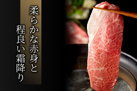 飛騨牛 モモまたはカタ すき焼き・しゃぶしゃぶ用 500g 牛肉 和牛 15000円