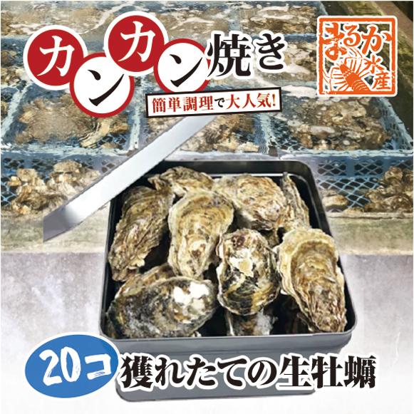 牡蠣のカンカン焼き「桃こまち」20個入 軍手・ナイフ付[牡蠣]