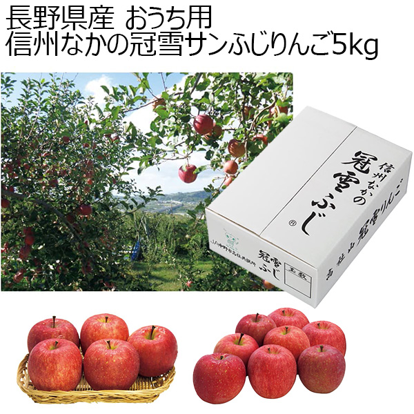 長野県産 おうち用 信州なかの冠雪サンふじりんご 赤秀品（軽微なスレあり品） 13〜18個 計5kg以上 (お届け期間：11 25〜12 28) 