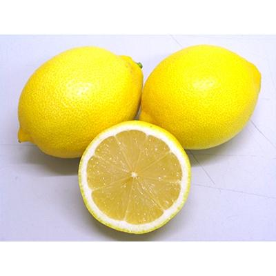 ふるさと納税 三豊市 瀬戸内レモン　約4.5kg