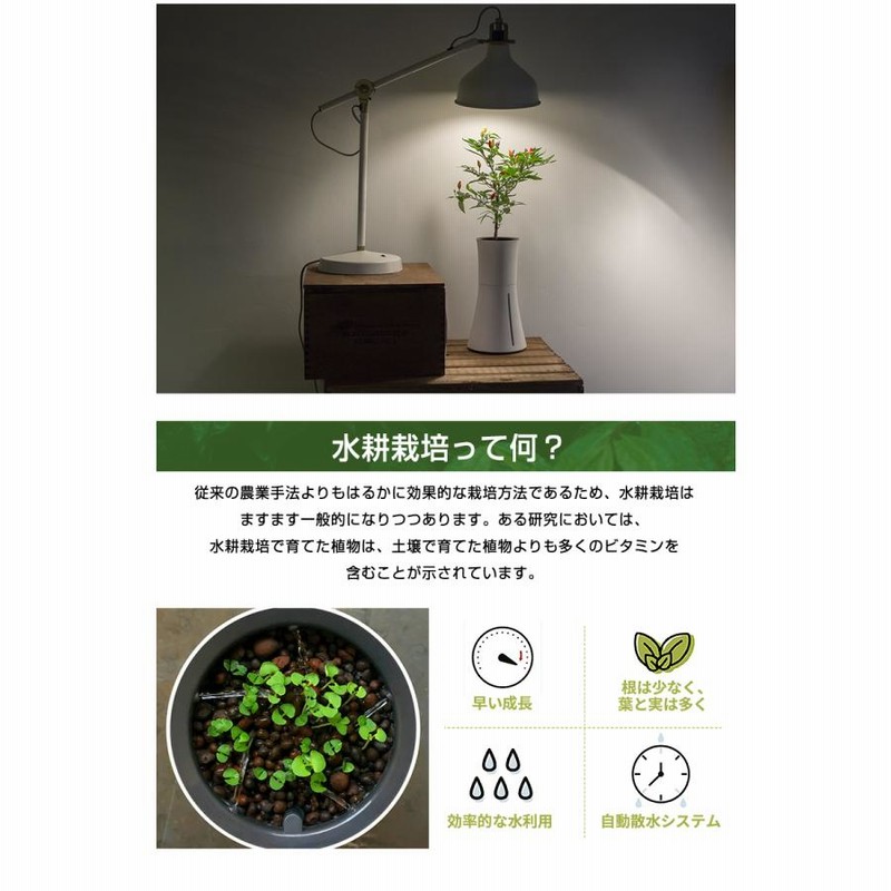 スマート水耕栽培キット ボタニアム BOTANIUM 送料無料 家庭菜園