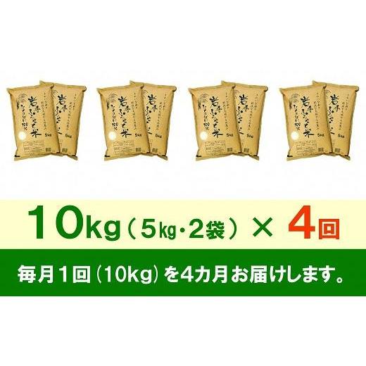 ふるさと納税 岩手県 奥州市 ☆全4回定期便☆ 岩手ふるさと米 10kg(5kg×2)×4ヶ月 一等米ひとめぼれ 令和5年産 新米  東北有数のお米の産地 岩手県奥州市産