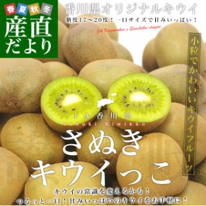 香川県より産地直送 JA香川県 高糖度キウイ さぬきキウイっこ 2キロ　(40玉から80玉前後) 送料無料　キウイフルーツ 讃岐キウイ きういっ