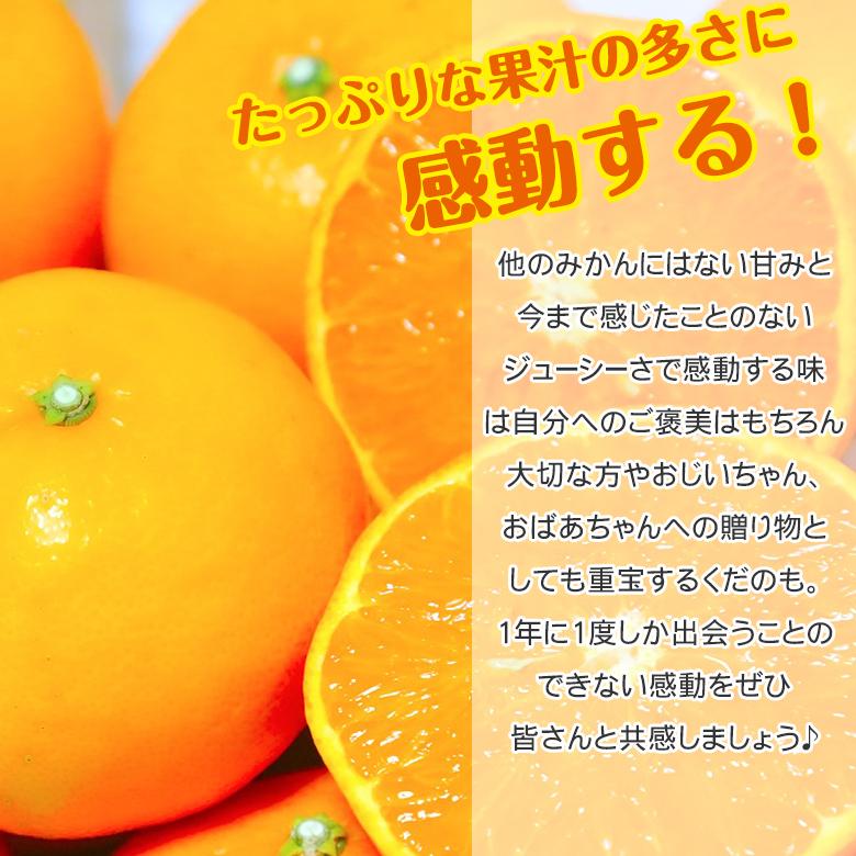 送料無料 愛媛県産 せとか 愛媛みかん 愛媛県せとか 大きさお任せ 大きさ 混合 約 2kg 箱買い ご家庭用 みかん 紅マドンナ 果物 くだもの フルーツ 訳あり