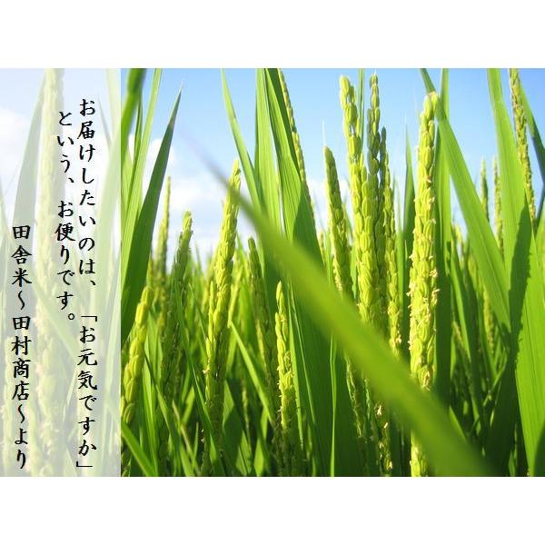 5年産　熊本県産ヒノヒカリ玄米30ｋｇ 精米無料