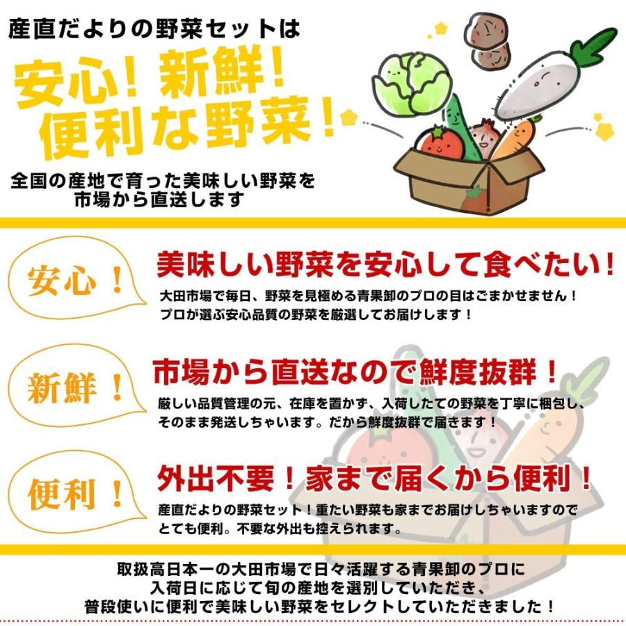 市場からご自宅へ直送　たっぷり野菜詰め合わせ　応援セット　（国産おまかせ野菜１０品セット）