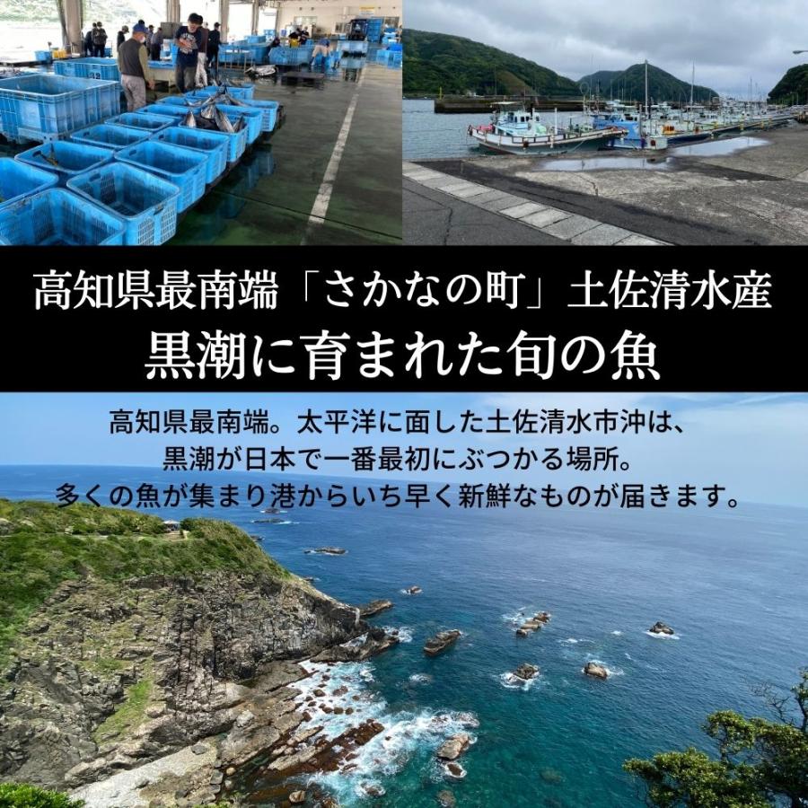 干物セット 高知県産 無添加 詰め合わせ 5種10枚 約1kg 定番 アジ サバ カマス 土佐清水 国産 産地直送 お歳暮 2023 ギフト