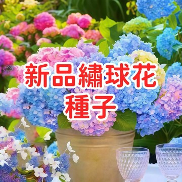 【新品繡球花種子】紫陽花 花園庭院盆栽 園藝種子 易種植 多年生 開花植物 花卉種子 陽台盆栽 室內外皆可 送禮自用