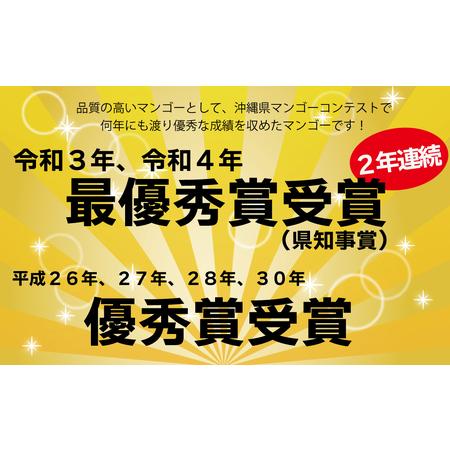 ふるさと納税 仲村農園の完熟アップルマンゴー約2Kg  沖縄県うるま市