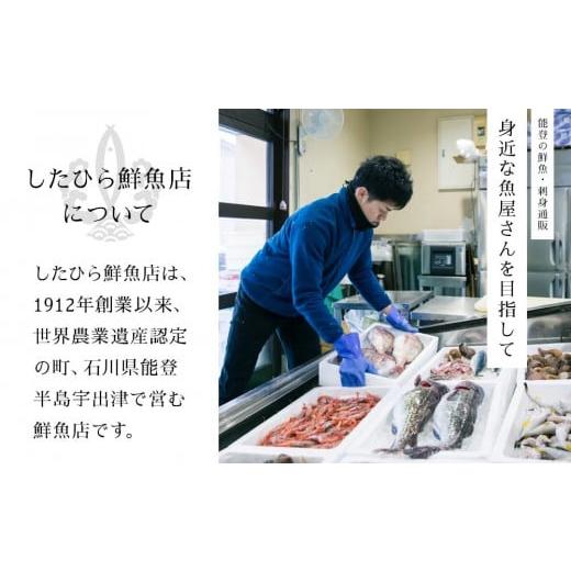 ふるさと納税 石川県 能登町 能登の鮮魚を捌いてお届け！旬の刺身盛り合わせセット（2人前）