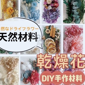 DIY 【天然乾燥花】植物果實 繽紛 拍照道具 花材 花藝材料包 浮游花 永生花 浮油花 乾花